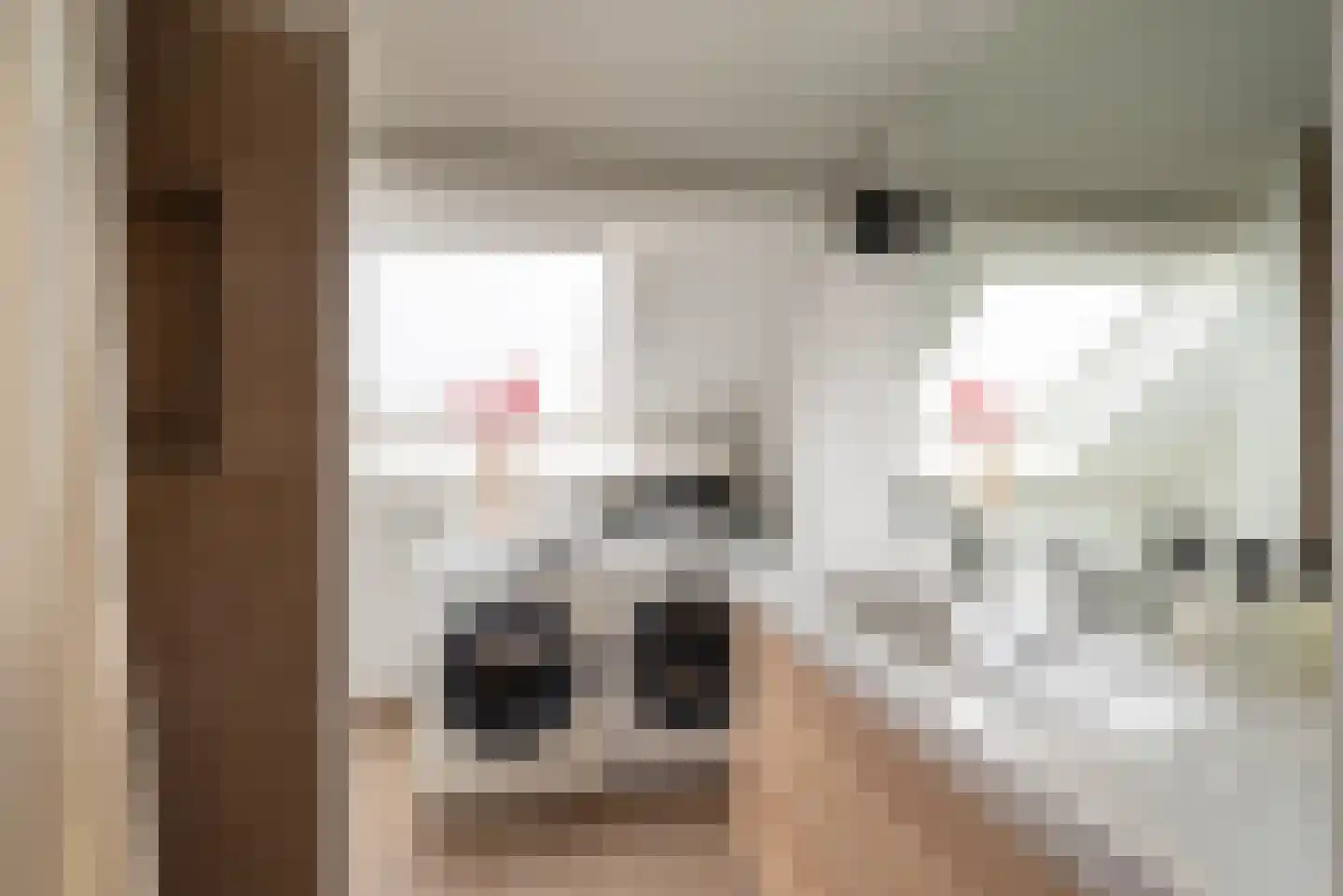 Corellistraat 3 2 Amsterdam thumbnail 46