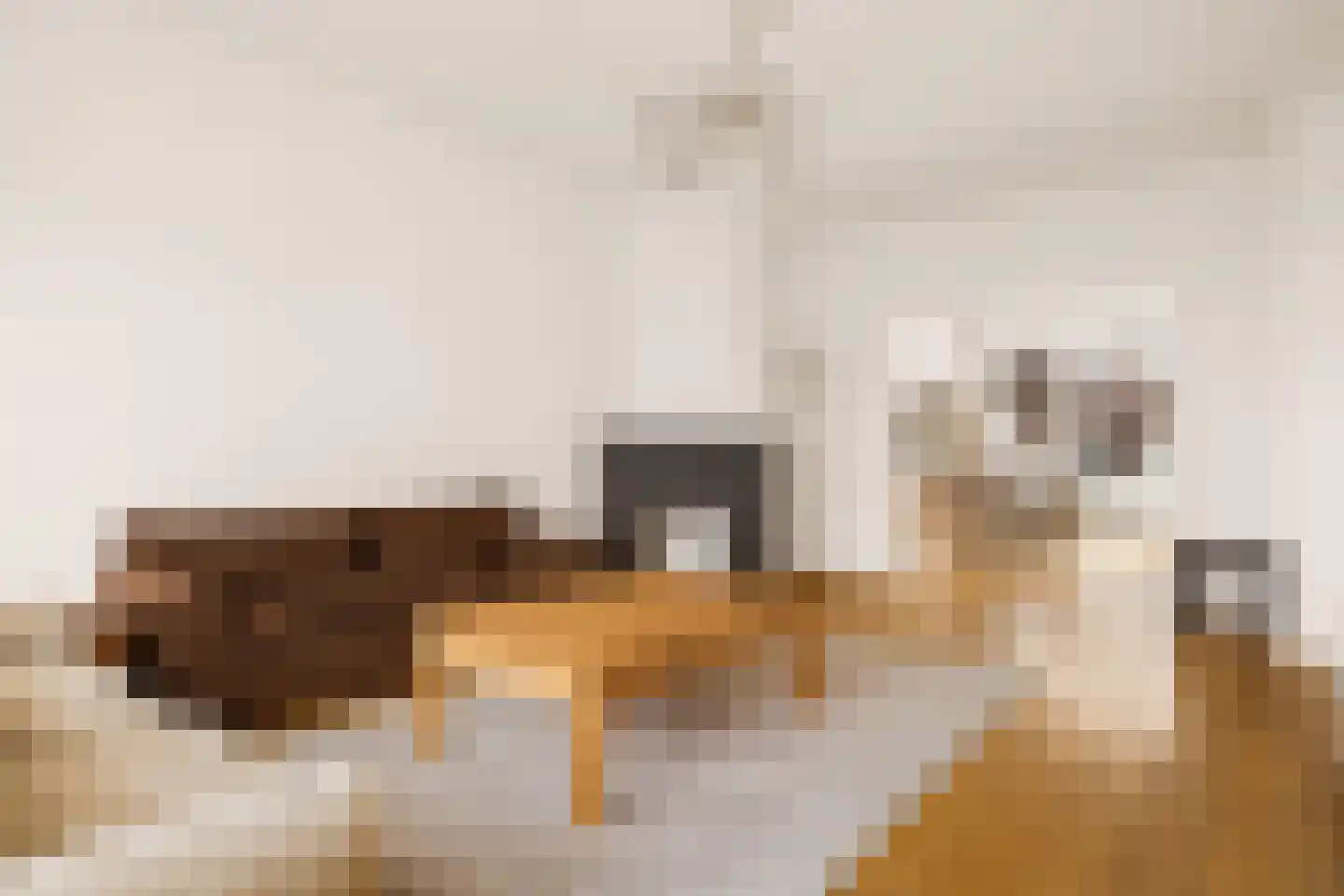 Corellistraat 3 2 Amsterdam thumbnail 5