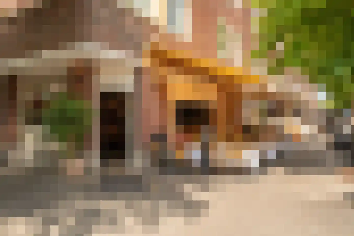 Corellistraat 3 2 Amsterdam thumbnail 55