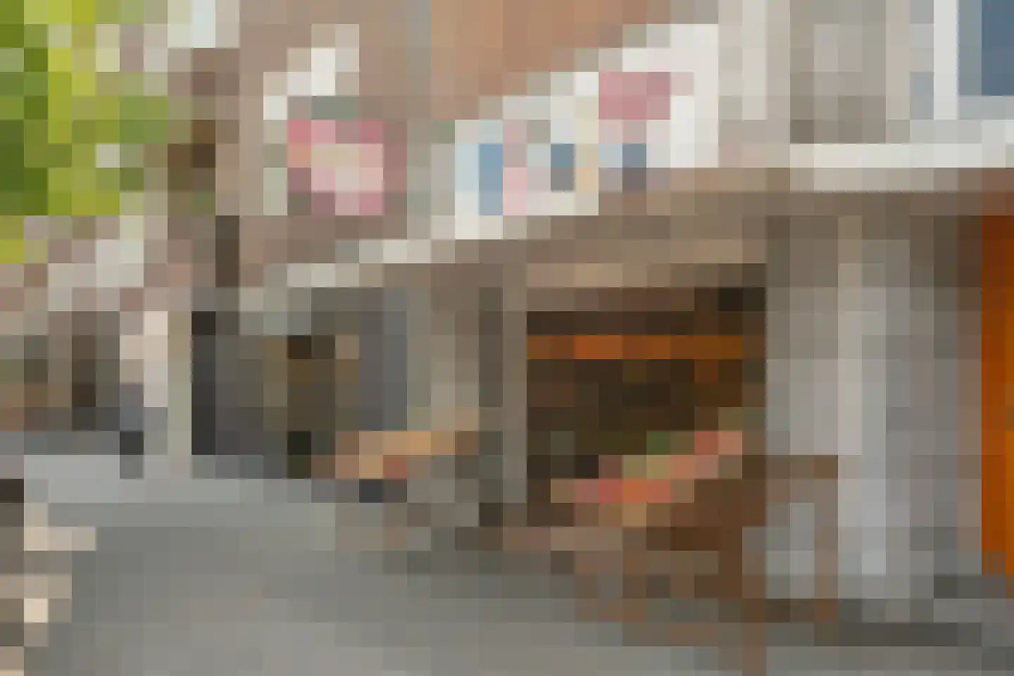 Corellistraat 3 2 Amsterdam thumbnail 59