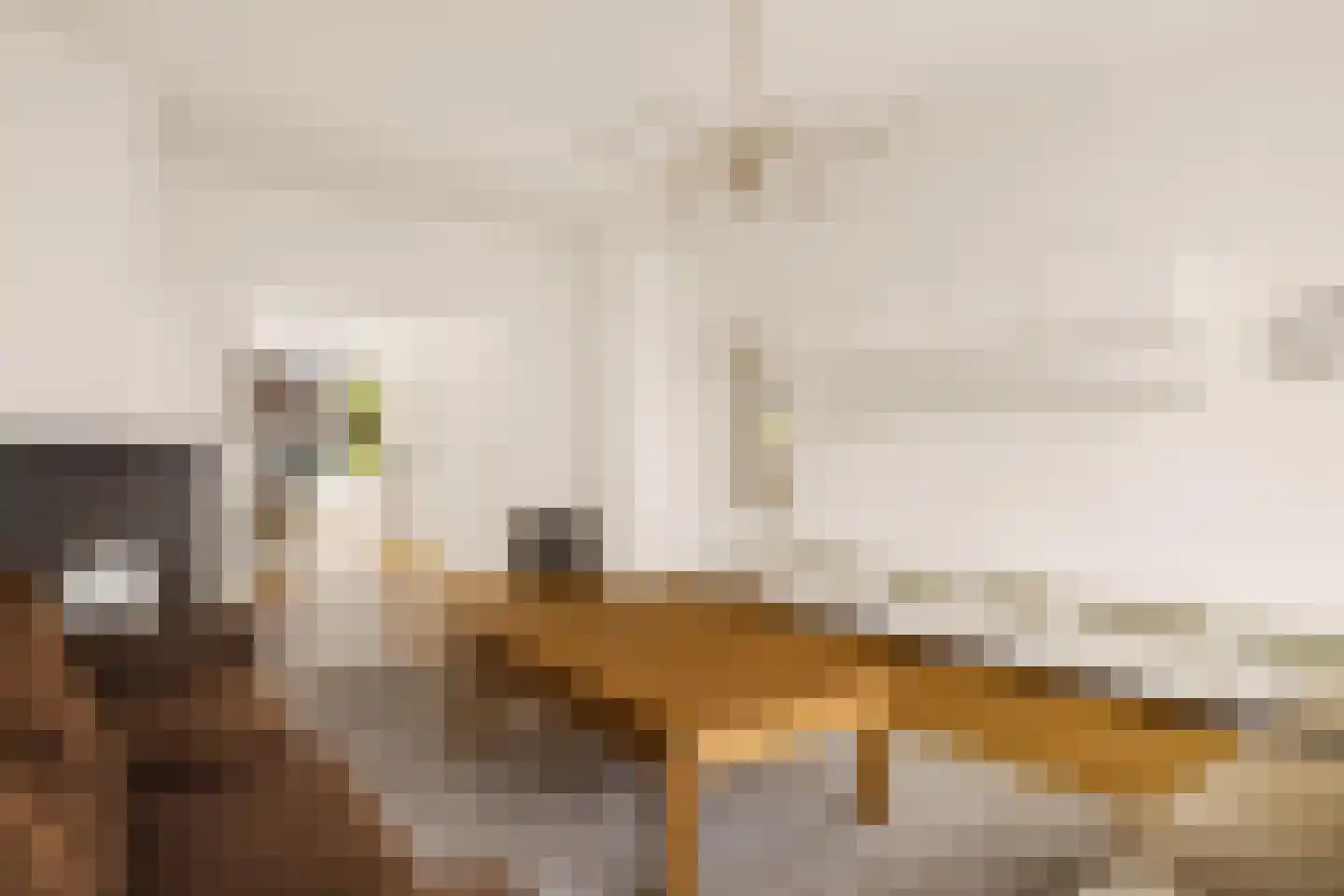 Corellistraat 3 2 Amsterdam thumbnail 7
