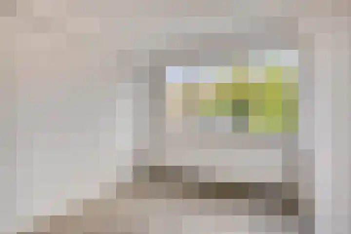 Corellistraat 32 Zwolle thumbnail 10