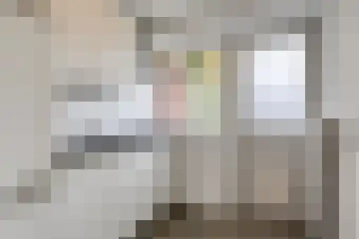 Corellistraat 32 Zwolle thumbnail 12