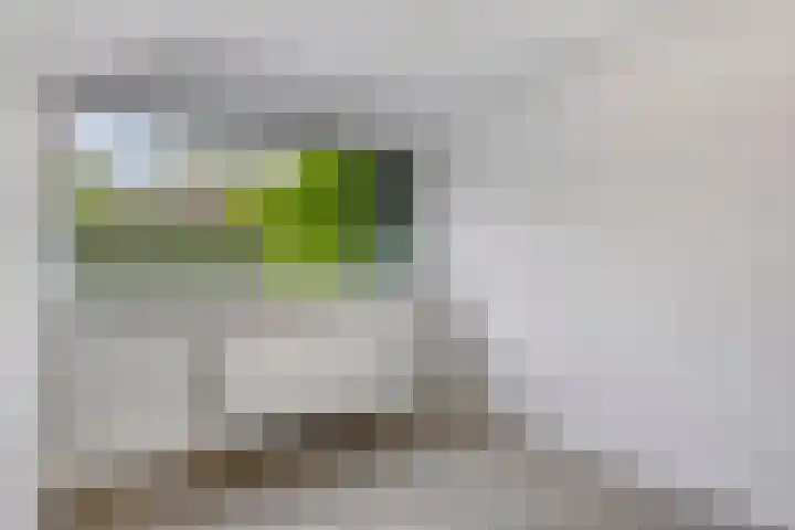 Corellistraat 32 Zwolle thumbnail 15