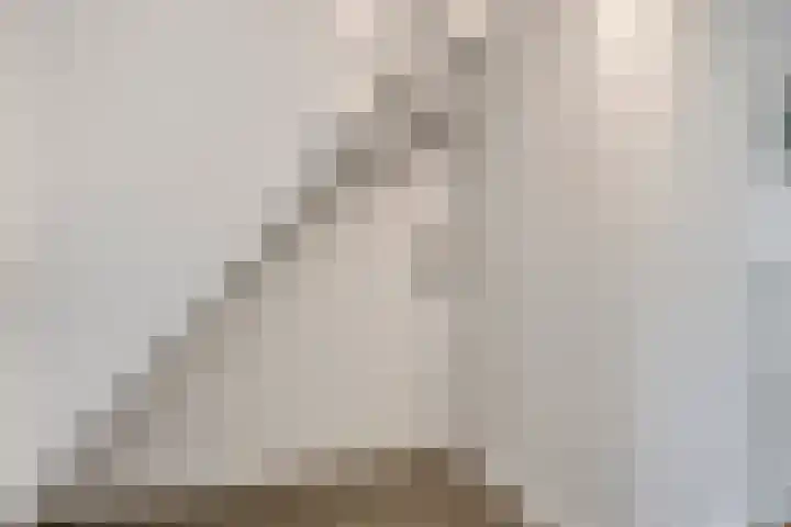Corellistraat 32 Zwolle thumbnail 17