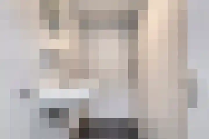 Corellistraat 32 Zwolle thumbnail 18