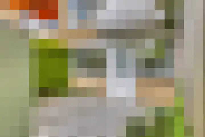 Corellistraat 32 Zwolle thumbnail 20