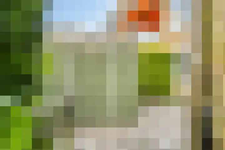 Corellistraat 32 Zwolle thumbnail 21