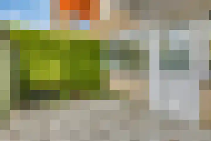 Corellistraat 32 Zwolle thumbnail 22