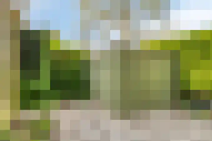 Corellistraat 32 Zwolle thumbnail 23
