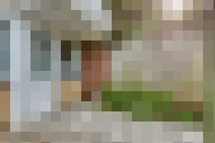 Corellistraat 32 Zwolle thumbnail 24