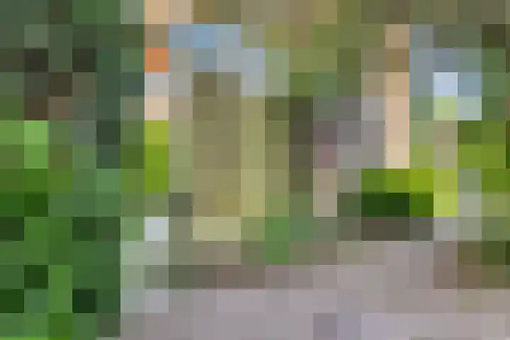 Corellistraat 32 Zwolle thumbnail 25
