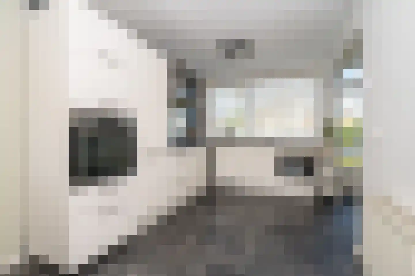 Corellistraat 4 Zwolle thumbnail 7