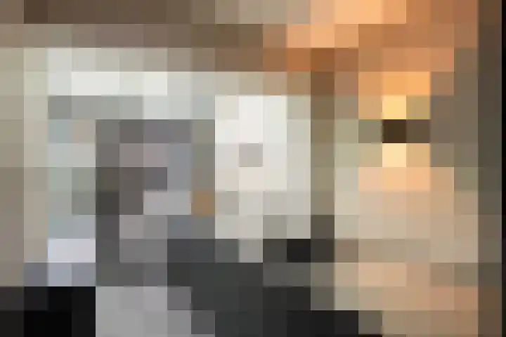 Corellistraat 43 Zwolle thumbnail 12