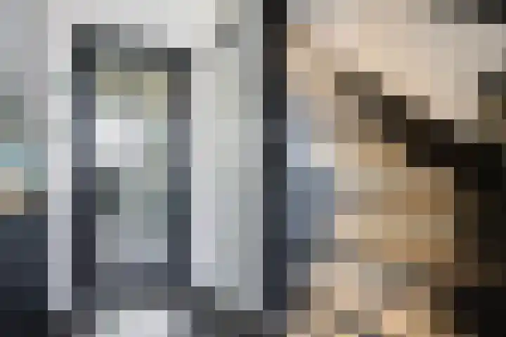 Corellistraat 43 Zwolle thumbnail 15