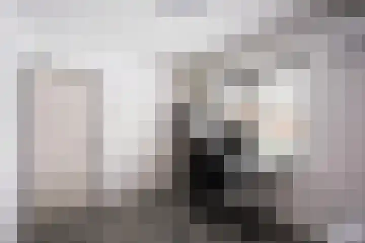 Corellistraat 43 Zwolle thumbnail 20
