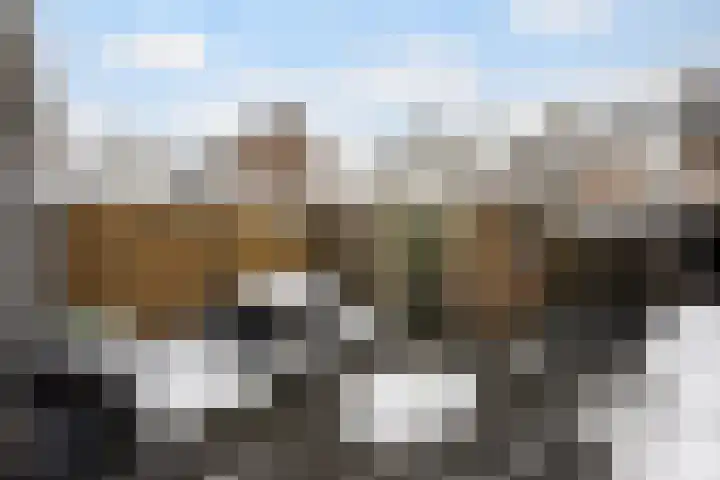 Corellistraat 43 Zwolle thumbnail 27