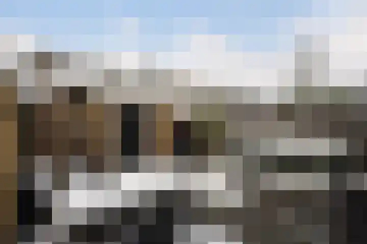 Corellistraat 43 Zwolle thumbnail 28