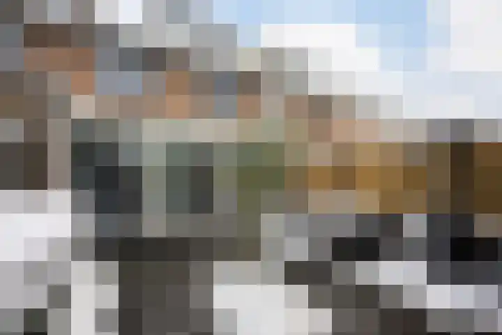Corellistraat 43 Zwolle thumbnail 29