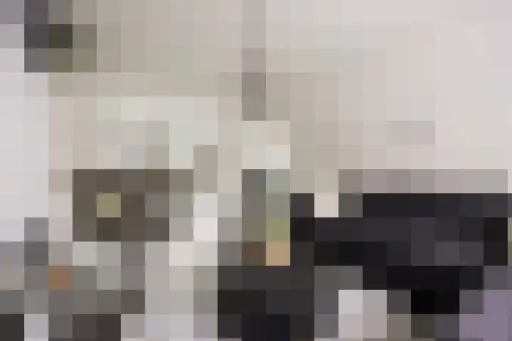 Corellistraat 43 Zwolle thumbnail 4