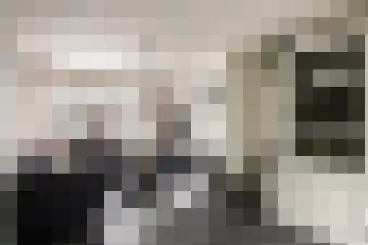 Corellistraat 43 Zwolle thumbnail 6