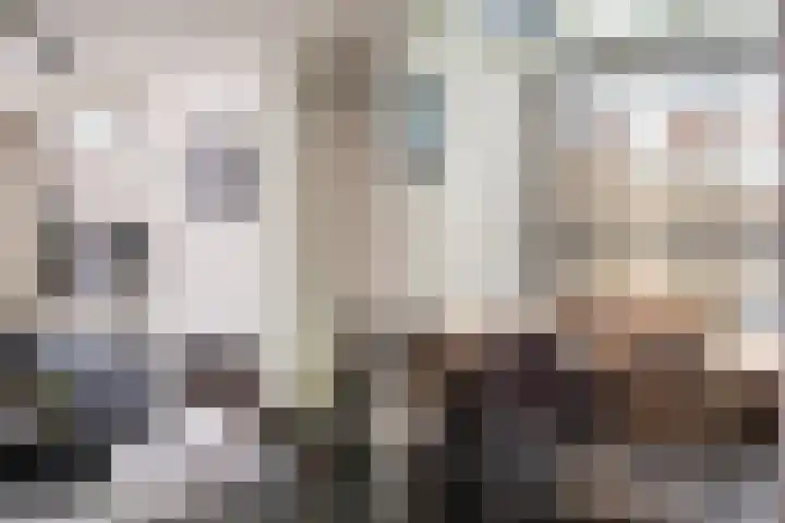 Corellistraat 43 Zwolle thumbnail 7