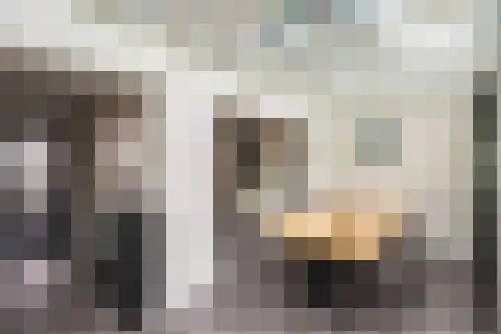 Corellistraat 43 Zwolle thumbnail 9