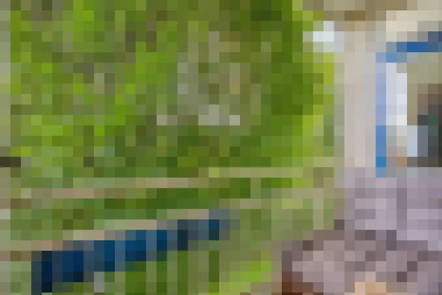 Corellistraat 62 Zwolle thumbnail 10