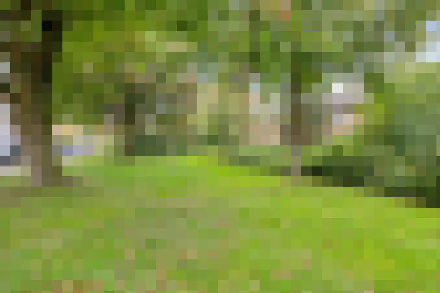 Corellistraat 62 Zwolle thumbnail 25