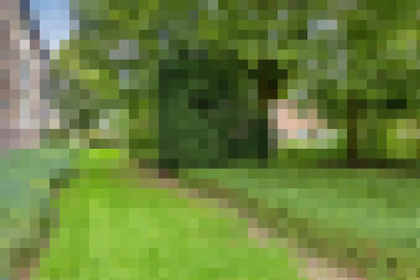 Corellistraat 62 Zwolle thumbnail 26