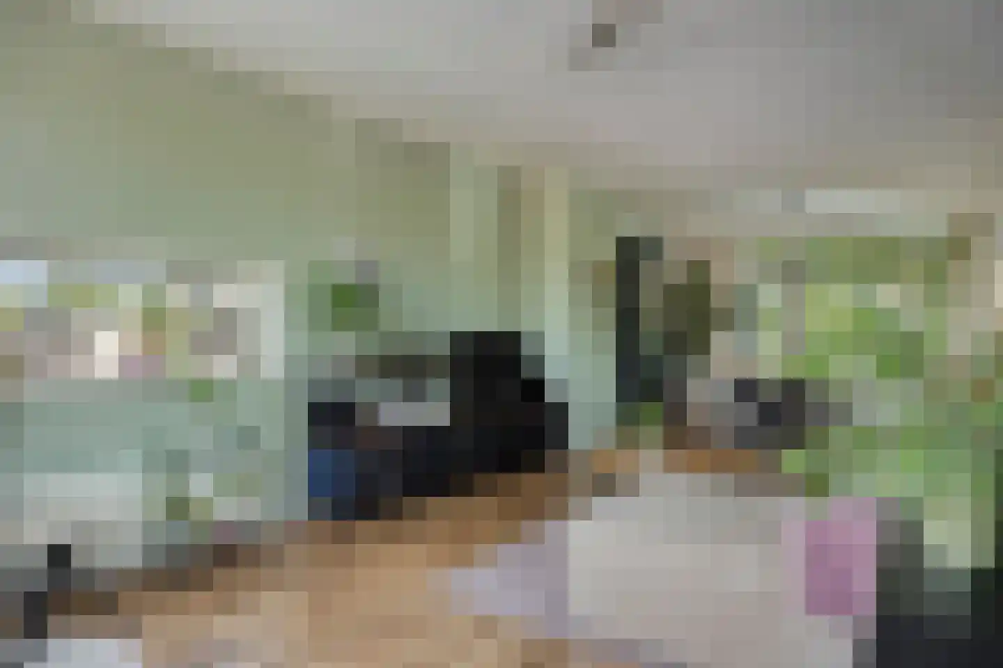 Corellistraat 62 Zwolle thumbnail 6