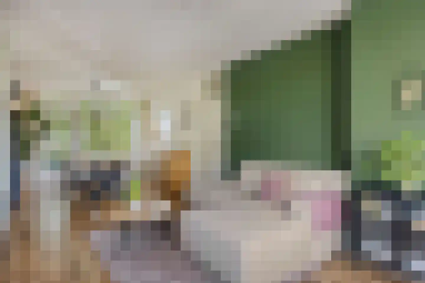 Corellistraat 62 Zwolle thumbnail 8