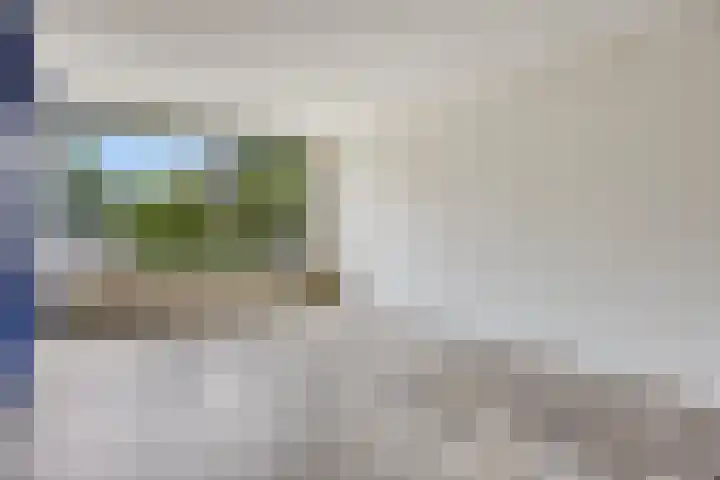 Corellistraat 83 Tilburg thumbnail 10