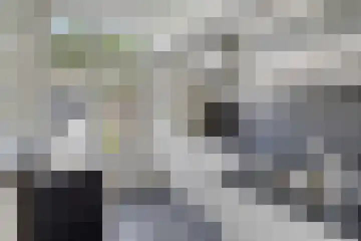 Corellistraat 83 Tilburg thumbnail 14