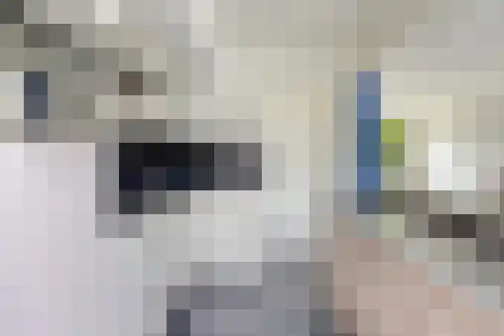 Corellistraat 83 Tilburg thumbnail 15