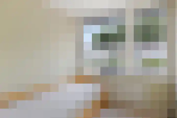 Corellistraat 83 Tilburg thumbnail 21