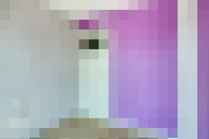 Corellistraat 83 Tilburg thumbnail 24