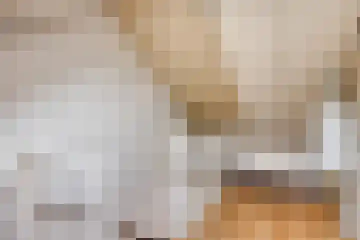 Corellistraat 83 Tilburg thumbnail 28