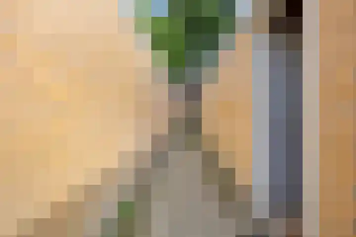 Corellistraat 83 Tilburg thumbnail 33