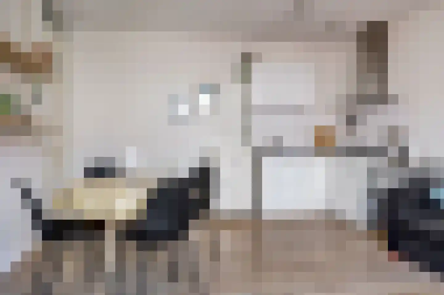 Coremolen 1 M13 Noordwijkerhout thumbnail 10