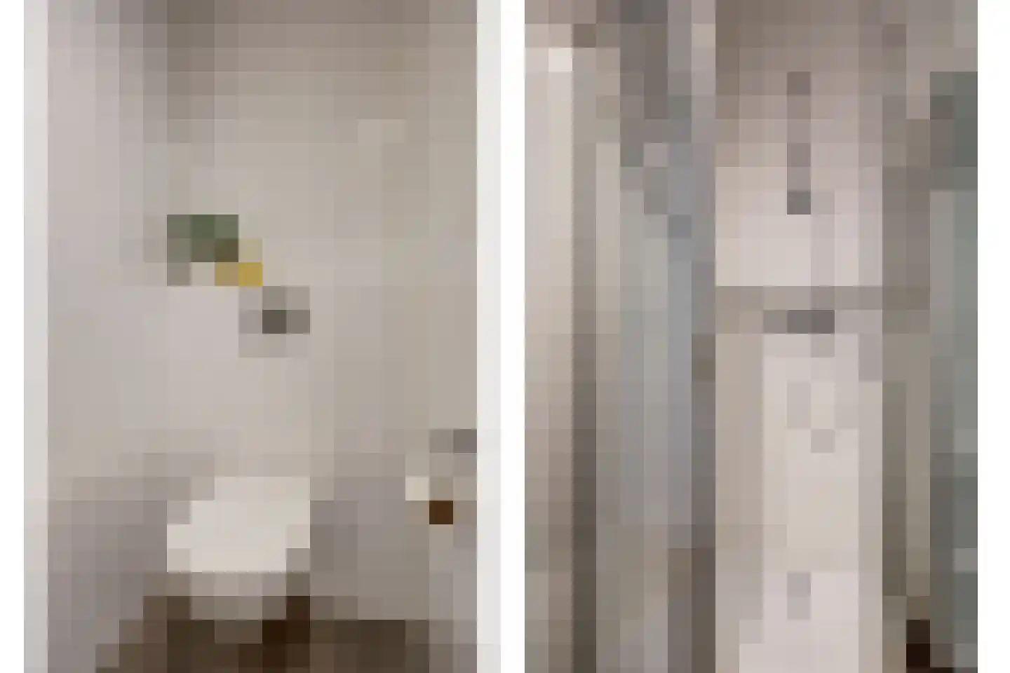 Coremolen 1 M13 Noordwijkerhout thumbnail 18