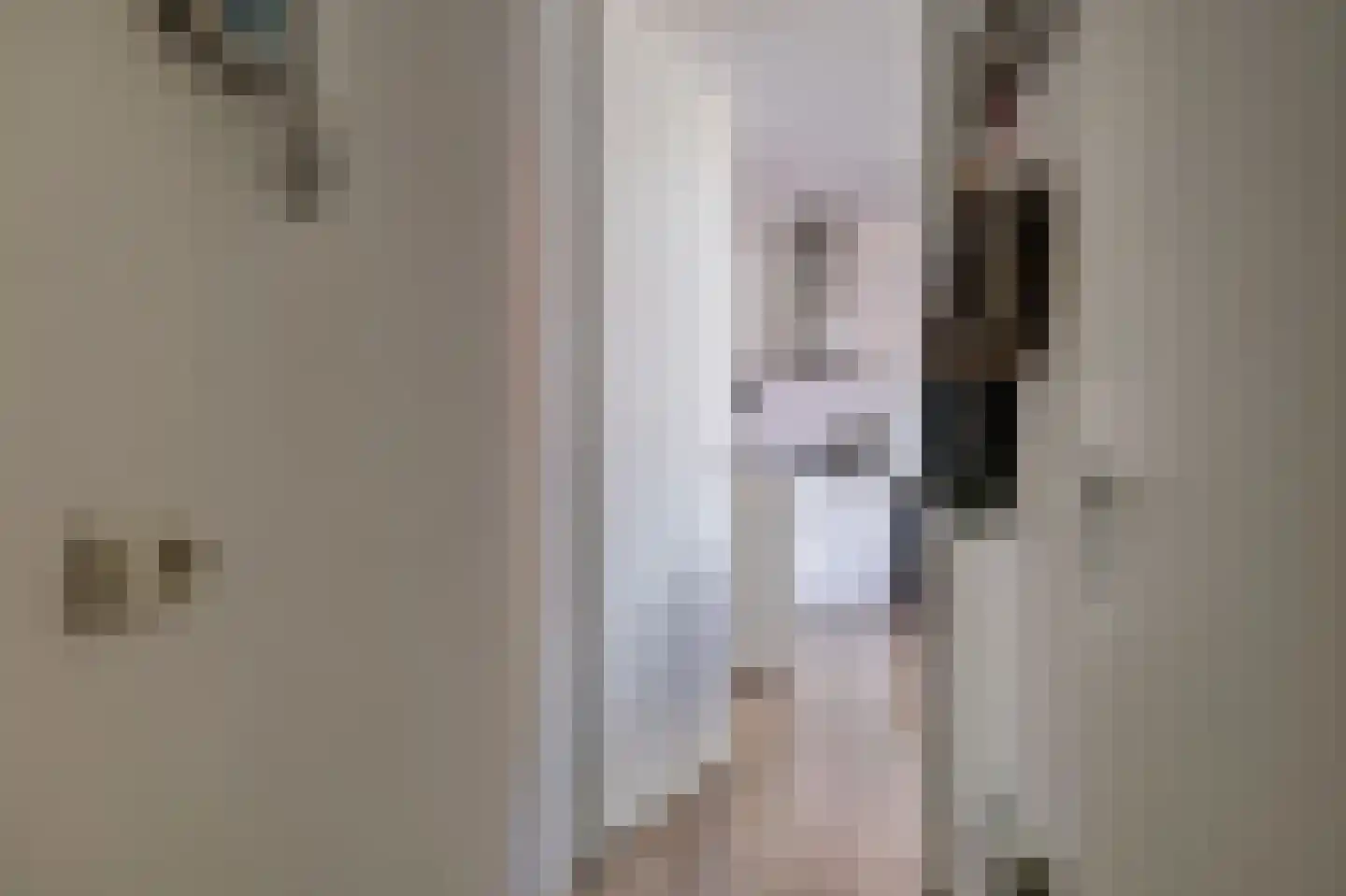 Coremolen 1 M13 Noordwijkerhout thumbnail 8