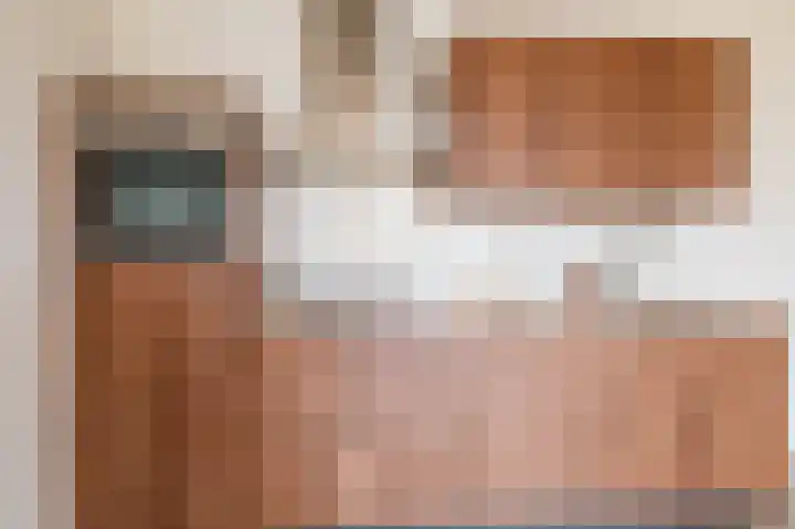 Coremolen 1 M14 Noordwijkerhout thumbnail 14