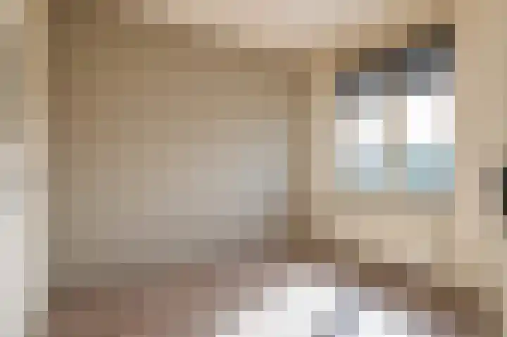Coremolen 1 M14 Noordwijkerhout thumbnail 18