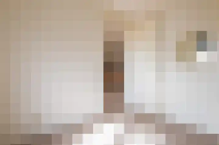 Coremolen 1 M14 Noordwijkerhout thumbnail 19