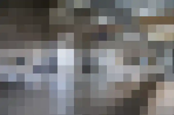 Coremolen 1 M14 Noordwijkerhout thumbnail 20