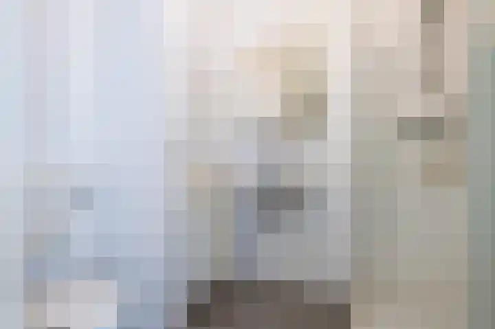 Coremolen 1 M14 Noordwijkerhout thumbnail 8