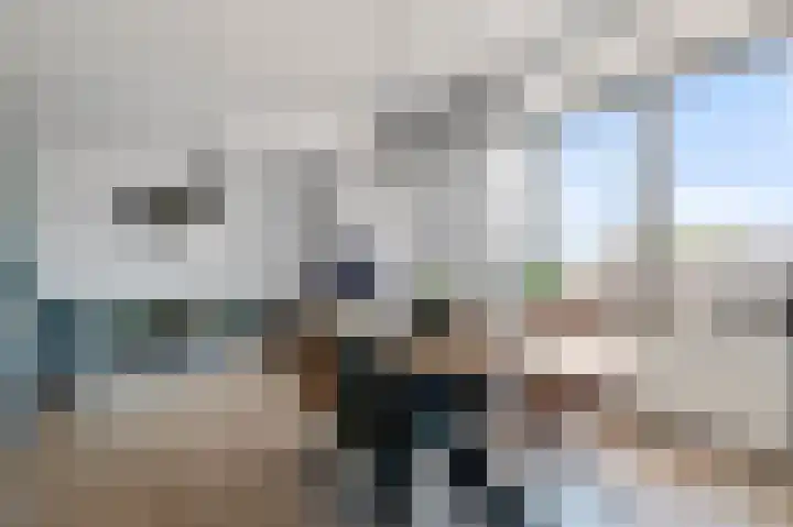 Coremolen 1 M26 Noordwijkerhout thumbnail 4