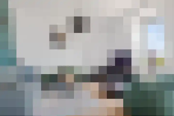 Coremolen 1 M26 Noordwijkerhout thumbnail 7