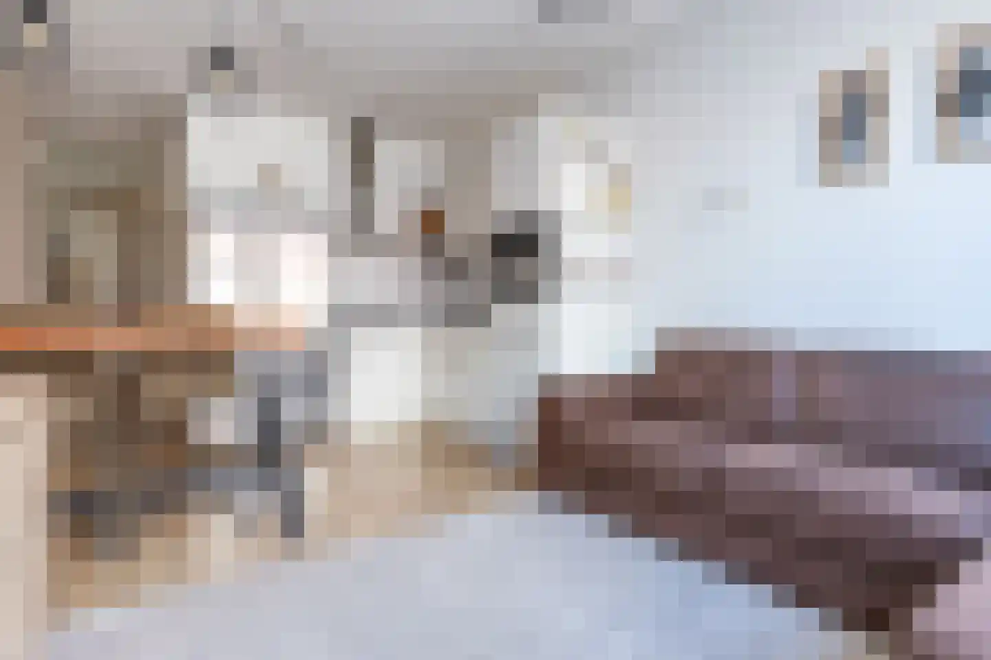 Coremolen 5 M14 Noordwijkerhout thumbnail 11